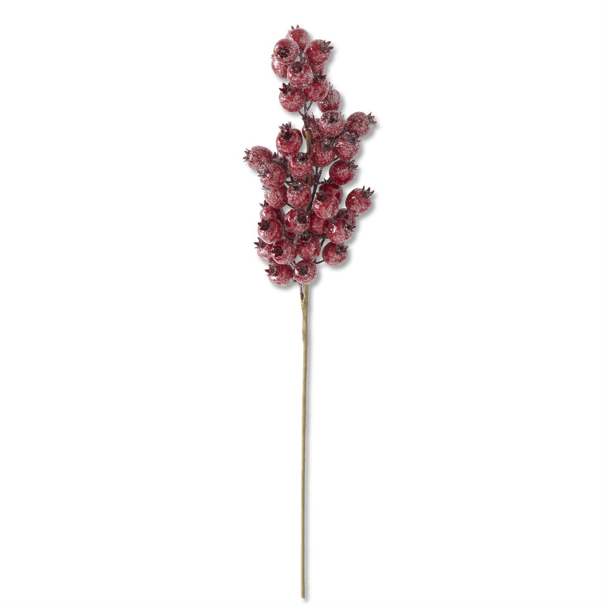 Red Crackle Glitter Rosehip Stem 24"