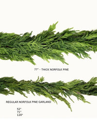 Norfolk Pine Collection Real Touch