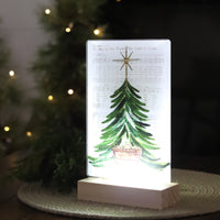 Acrylic LED Manger Sign