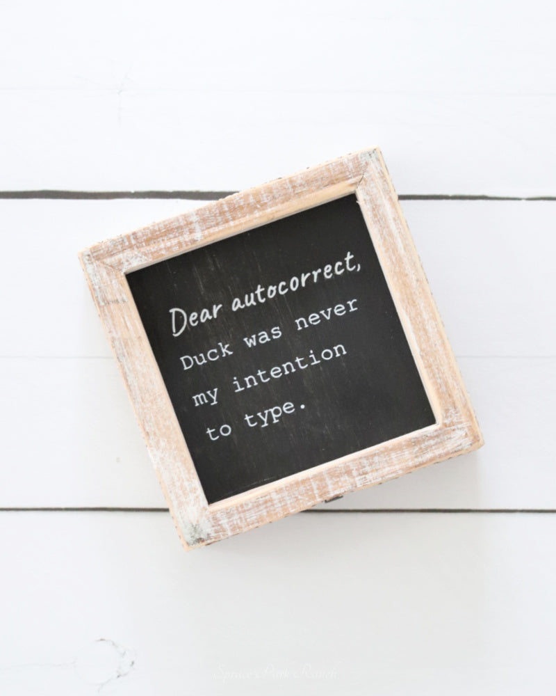 Reversible Autocorrect and No Internet Sign