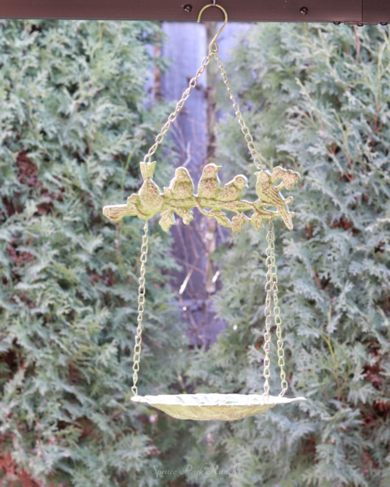 Metal Friendly Flock Hanging Bird Feeder