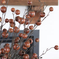 Brown Pod Collection