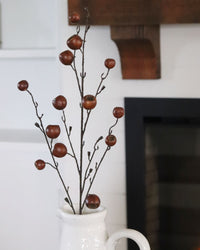 Brown Pod Collection