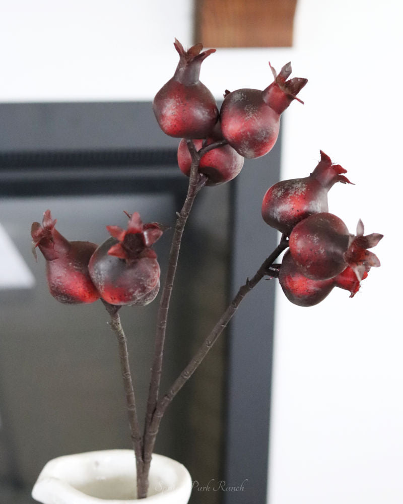 Burgundy Pomegranate Stem 28"