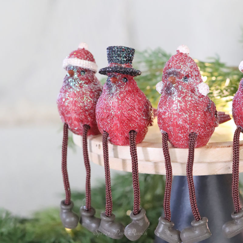 Holiday Cardinal Sitter