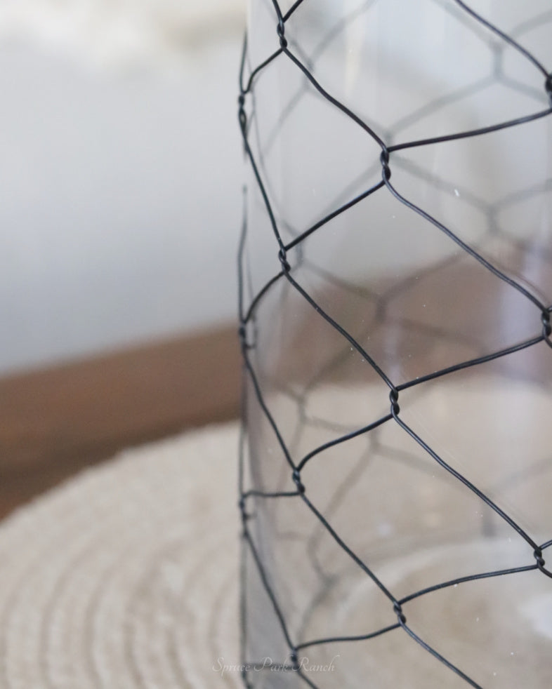 Glass Jar with Black Chicken Wire