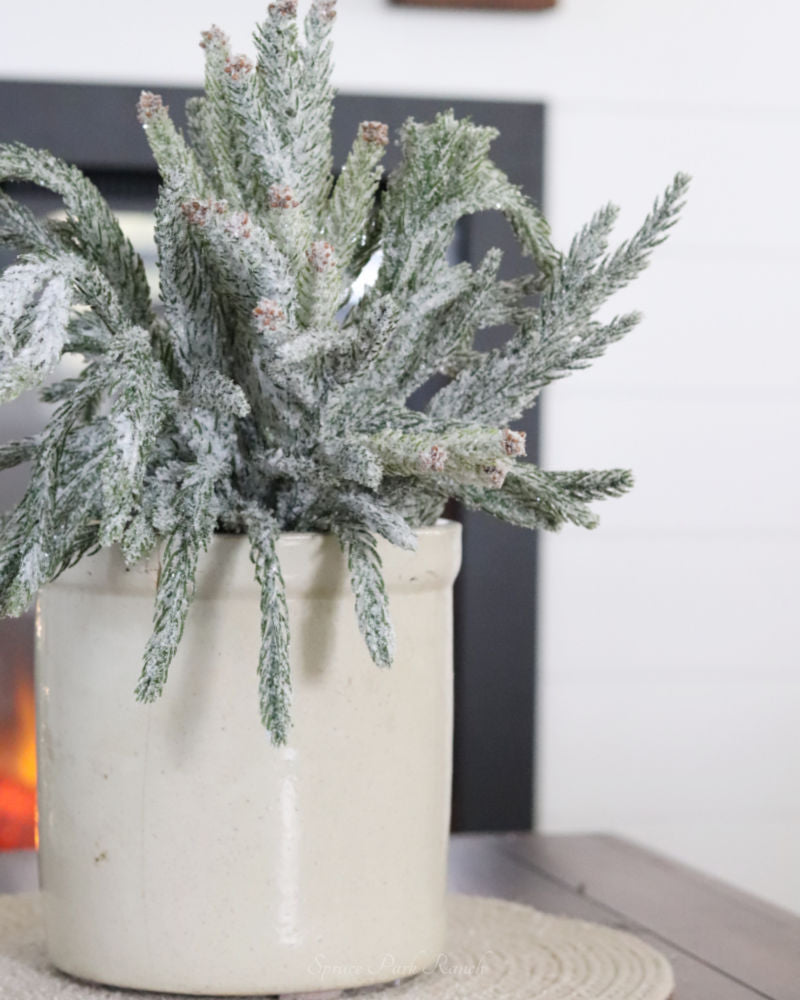 Glittered Coned Snowy Norfolk Pine Collection Real Touch