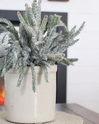 Glittered Coned Snowy Norfolk Pine Collection Real Touch