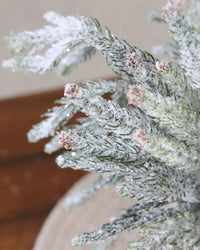 Glittered Coned Snowy Norfolk Pine Collection Real Touch