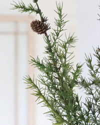Pine and Pinecones Greenery Collection