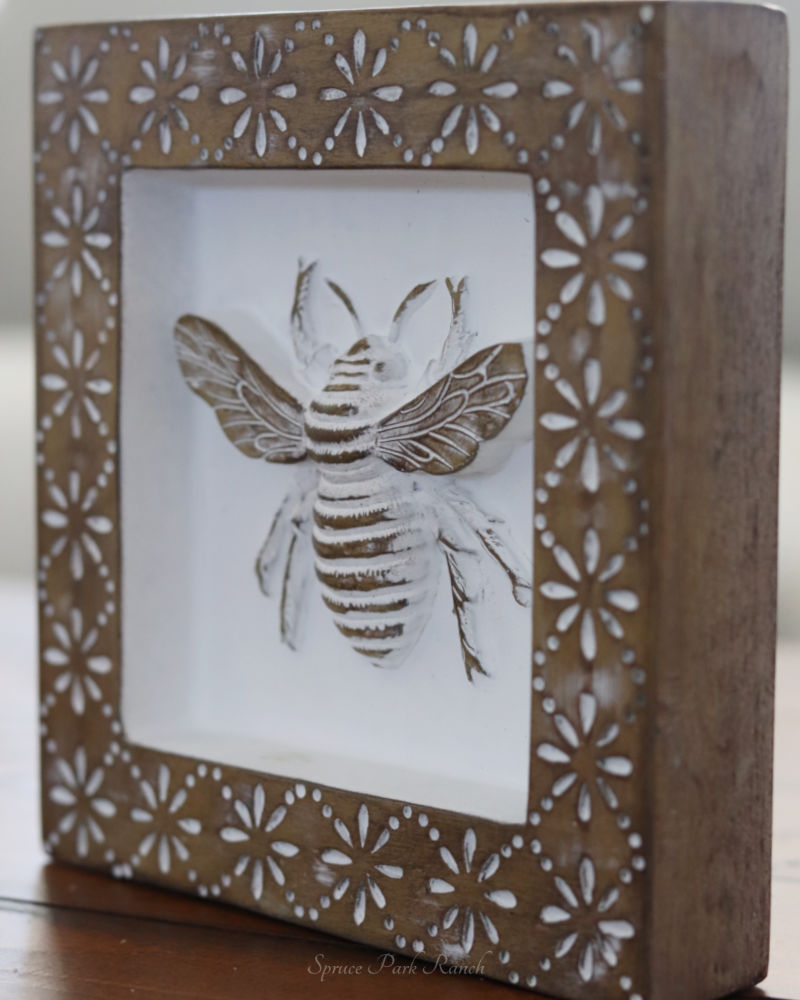 Whitewashed Carved Insect Shadow Box