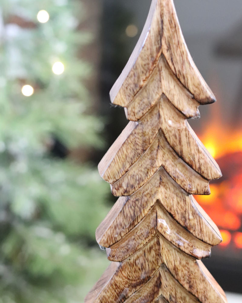 Dark Mango Wood Tree on Stand