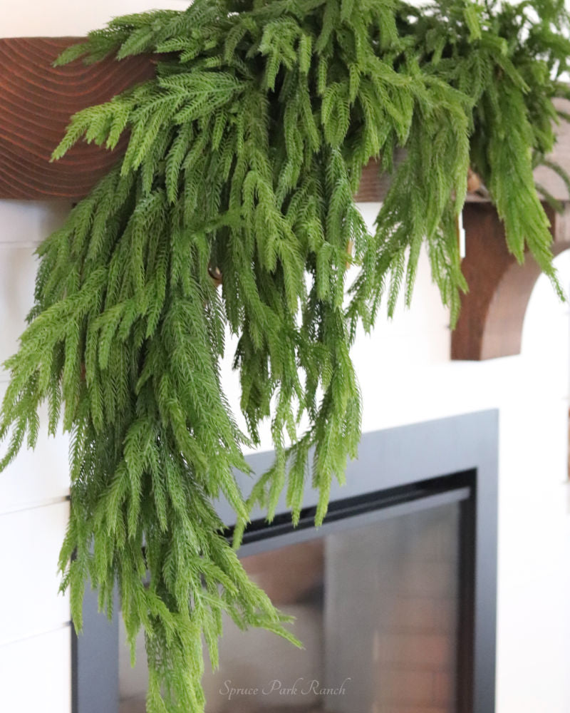 Norfolk Pine Collection Real Touch