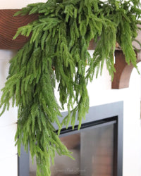 Norfolk Pine Collection Real Touch