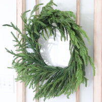 Norfolk Pine Collection Real Touch