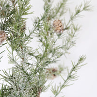 Glittered Snowy Pine Stem With Mini Pinecones 33"
