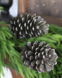 Pinecone Pick 12.5"
