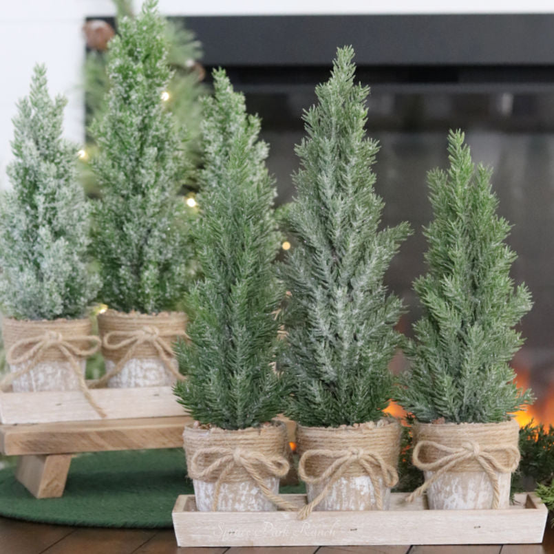 Potted Trees With Tray
