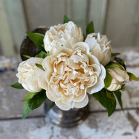 Floret Cream Peony Bundle Real Touch 12"