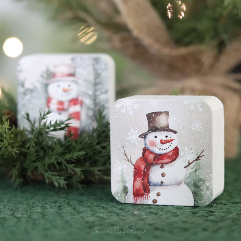 Red Scarf Snowman Mini Block