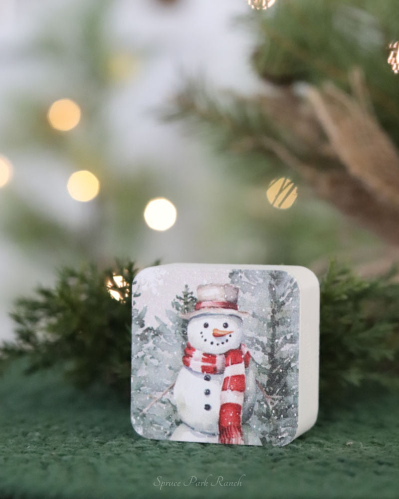 Red Scarf Snowman Mini Block