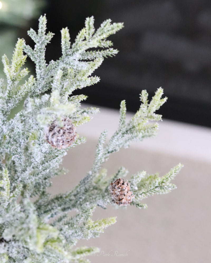 Snowy Juniper Stem With Mini Pinecones 25"