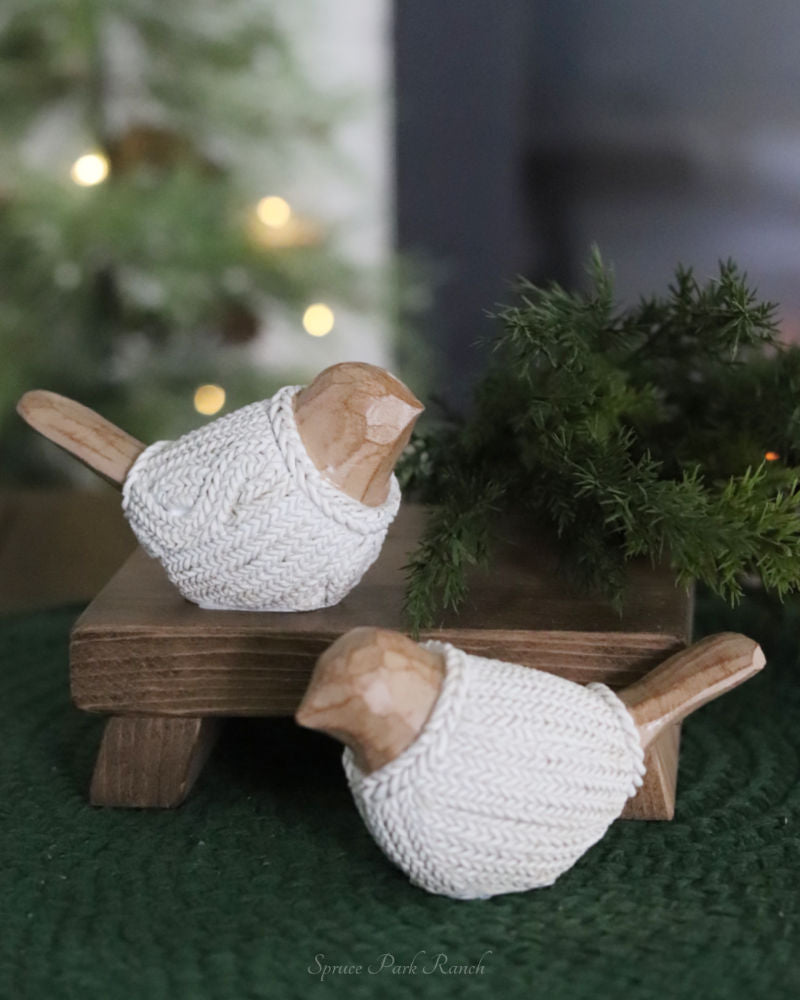 Winter Sweater Bird