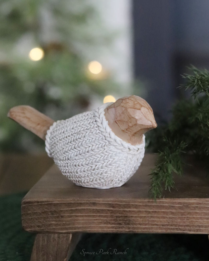 Winter Sweater Bird