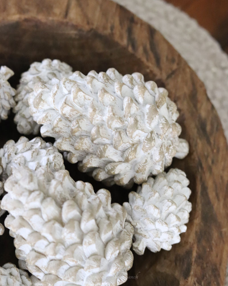 Whitewashed Pinecone