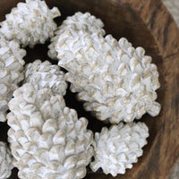 Whitewashed Pinecone