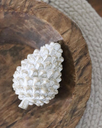 Whitewashed Pinecone