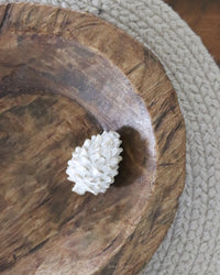 Whitewashed Pinecone