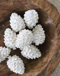 Whitewashed Pinecone