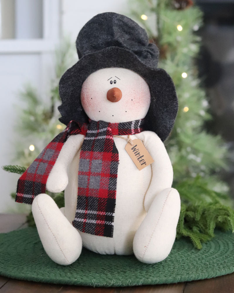 Winter the Snowman