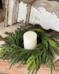 Norfolk Cascade Greenery Collection Soft Touch