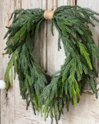 Norfolk Cascade Greenery Collection Soft Touch