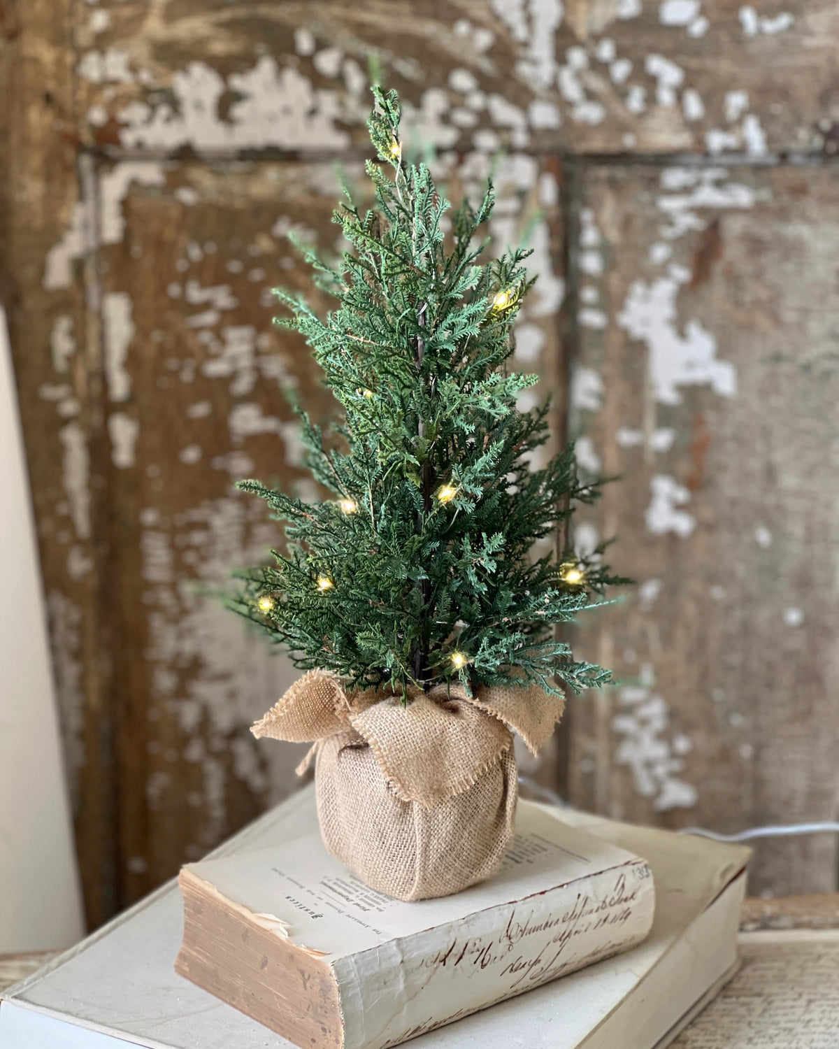 Starlit Cedar LED Tree