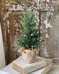 Starlit Cedar LED Tree