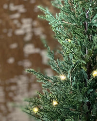 Starlit Cedar LED Tree