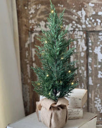 Starlit Cedar LED Tree