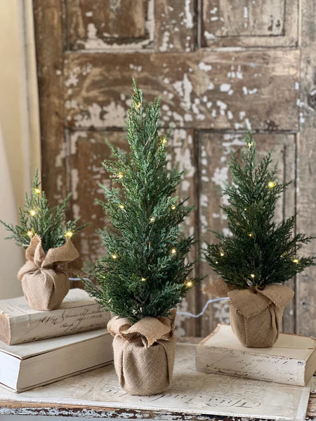 Starlit Cedar LED Tree