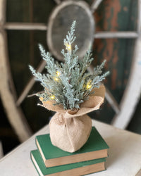 Celestial Cedar LED Tree