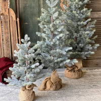 Frosted Finland Pine Tree