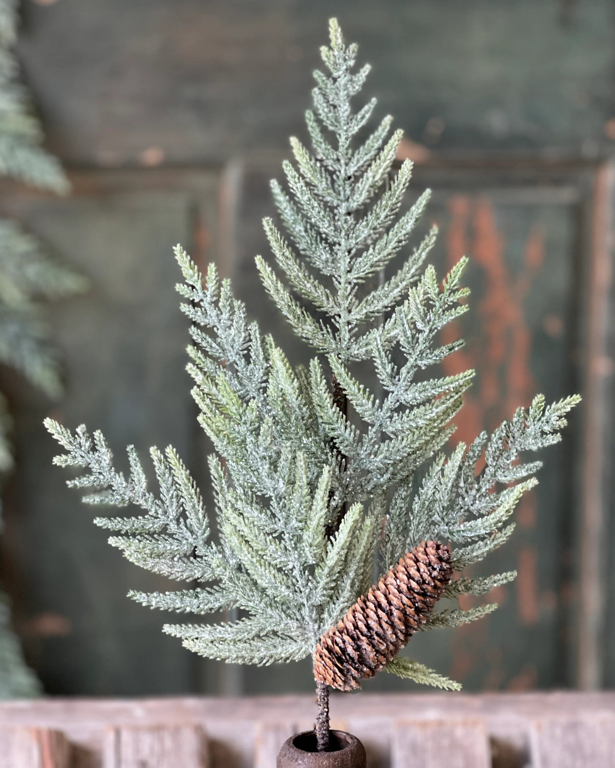 Glittering Plume Pine Collection