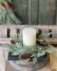 Glittering Plume Pine Collection