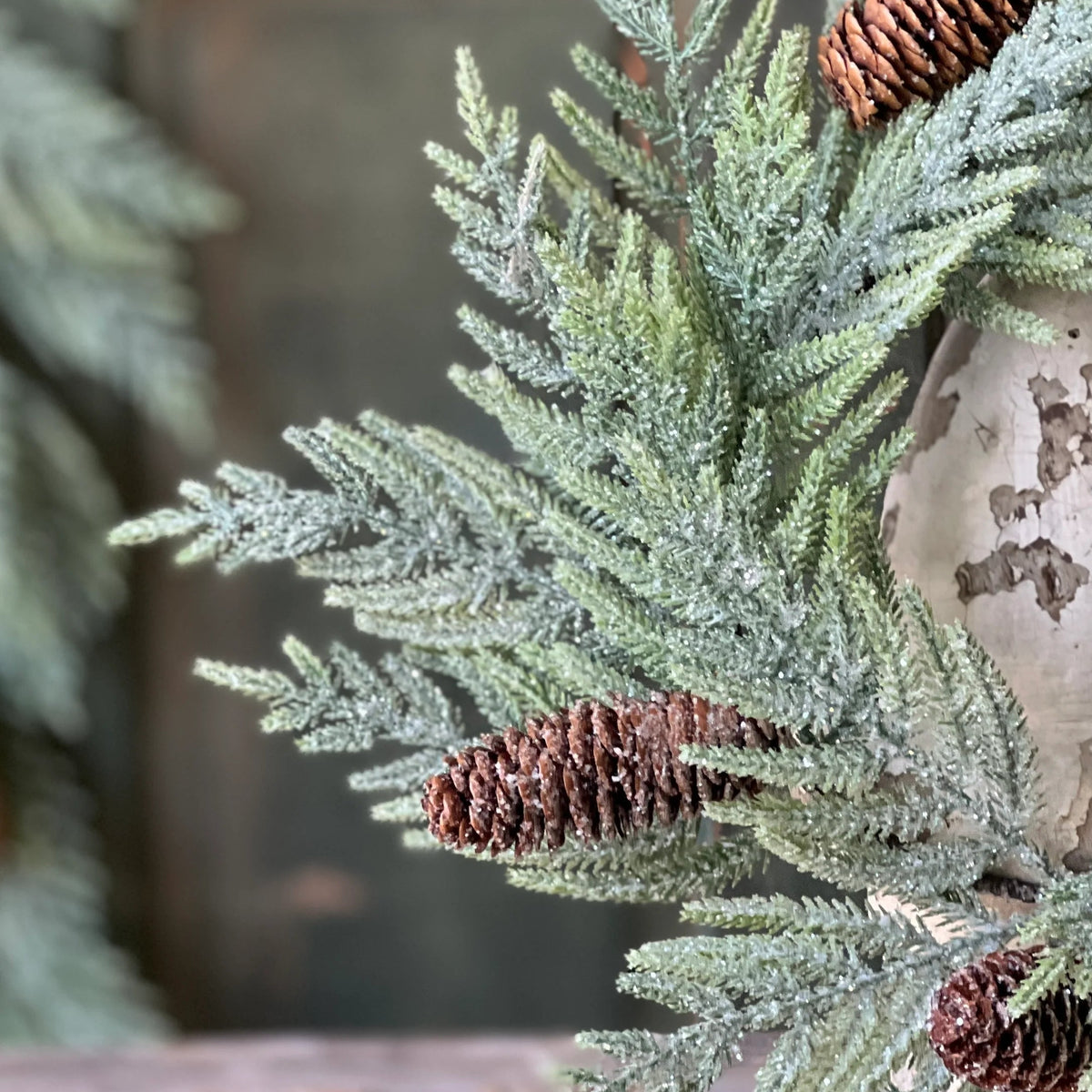 Glittering Plume Pine Collection