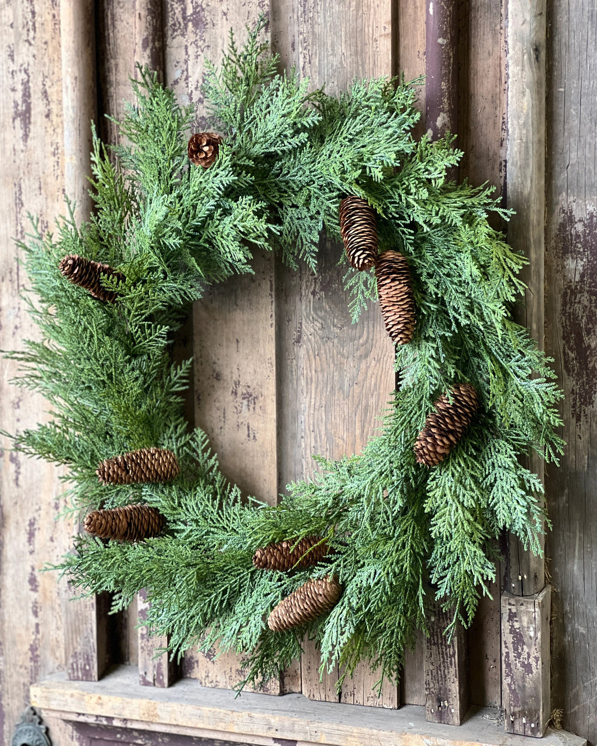 Celtic Cedar Collection Real Touch