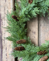 Celtic Cedar Collection Real Touch