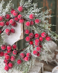 Icy Yule Berry Fir Collection