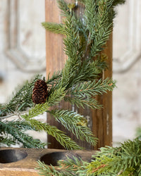 White Spruce With Pine Cones Collection
